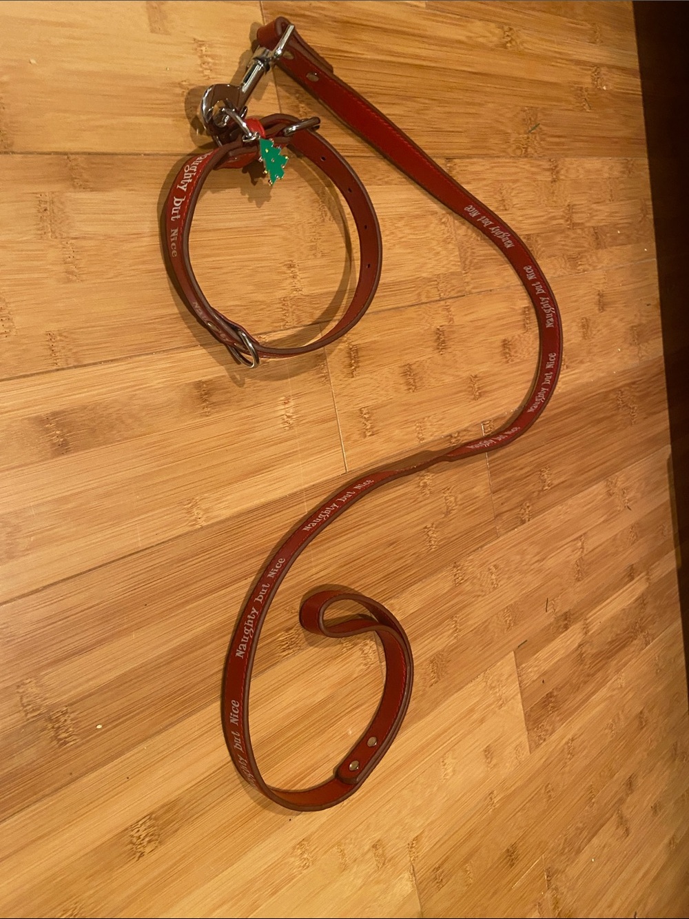 Small Dog Collar